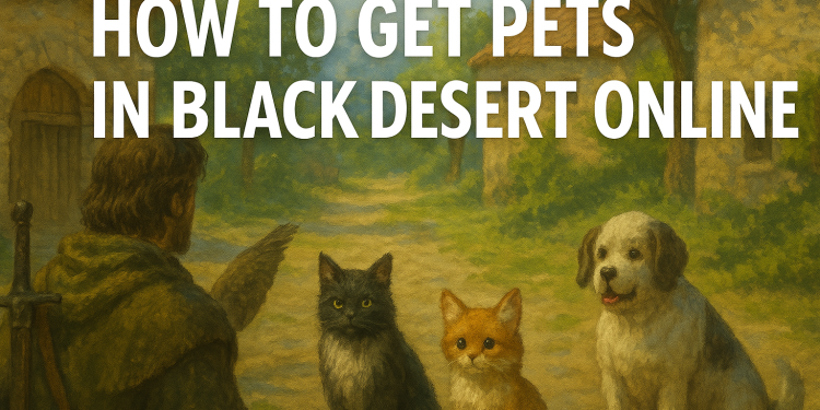 how to get pets bdo guide by FragMeta